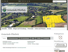 Tablet Screenshot of flintbek.de